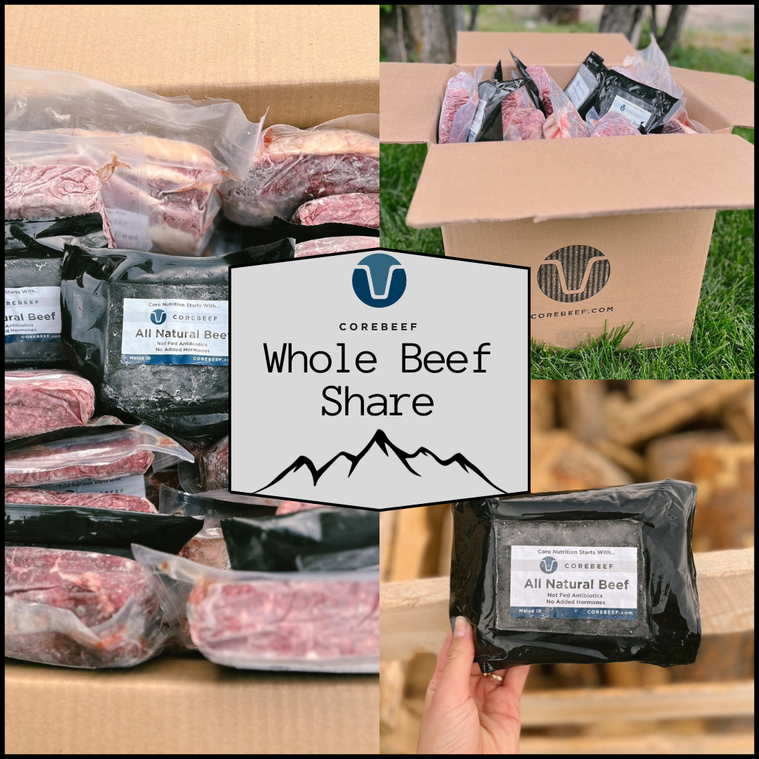 Whole Beef Share - Deposit